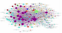 Networks!